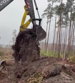 Расчистка леса с помощью захвата ковша Гидрозуб